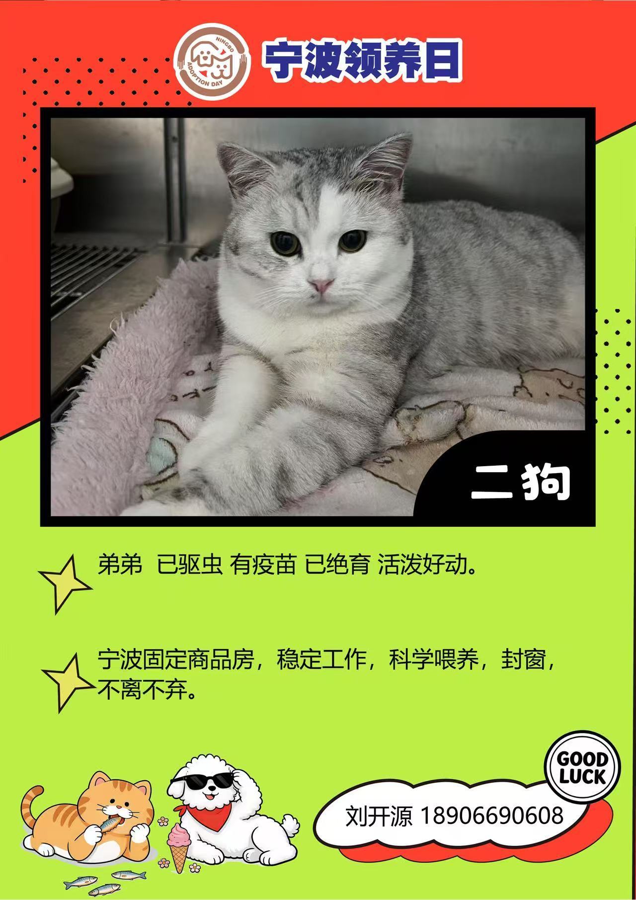 宁波领养日微领养来啦 宁波领养日微领养来啦🌸💞4月25日下午13:00-17