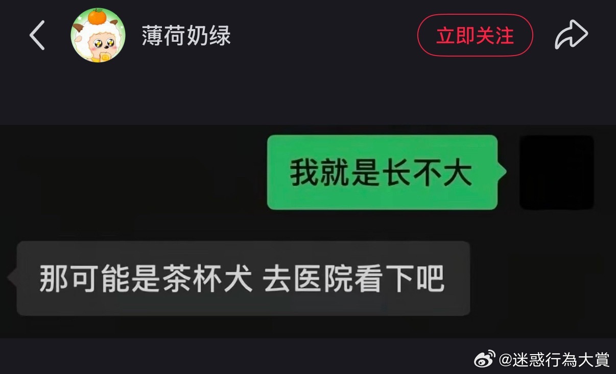 哦哦 