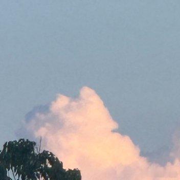 阳光信用 🌸阳光信用 每日一善 真正决定一个人成就的也不是运气，而是严格的自律