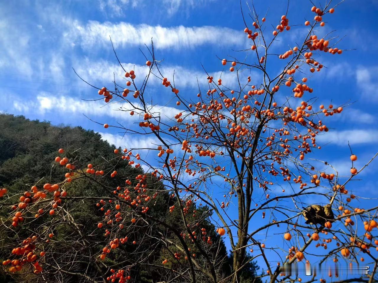十月一，送寒衣，安全祭扫，杜绝山火。
承古俗，今为寒衣节。
一个被记忆焐热的日子