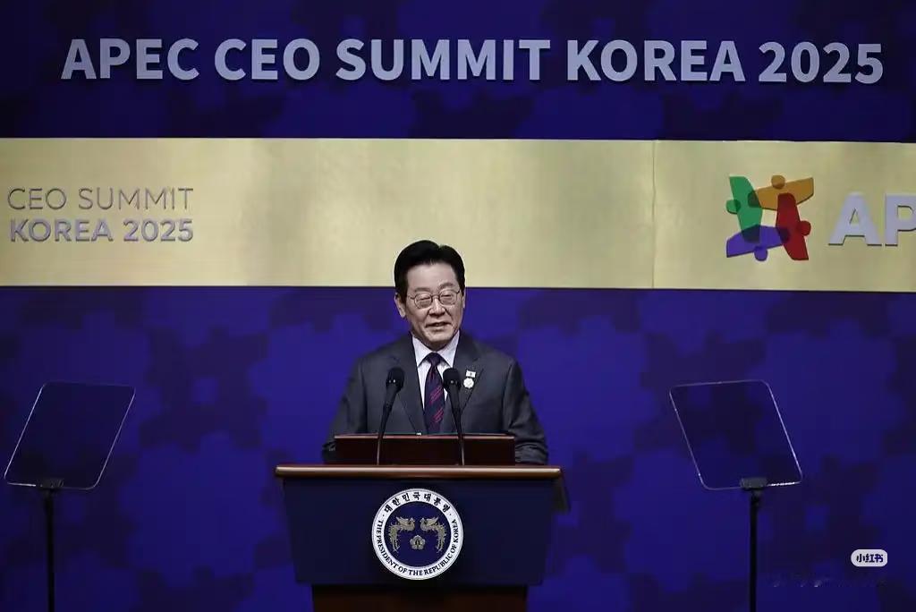 韩国总统承认：韩国接待能力不足，靠邮轮“救场”？不久后，APEC峰会将在韩国召开