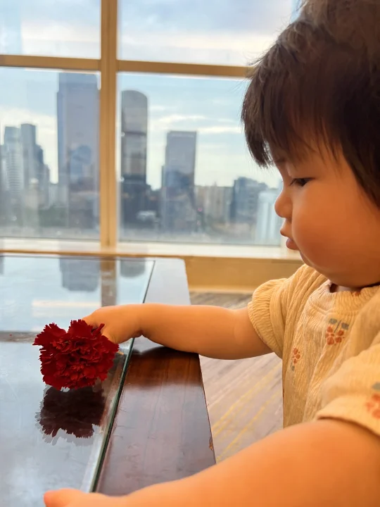 爱你如养花💐
