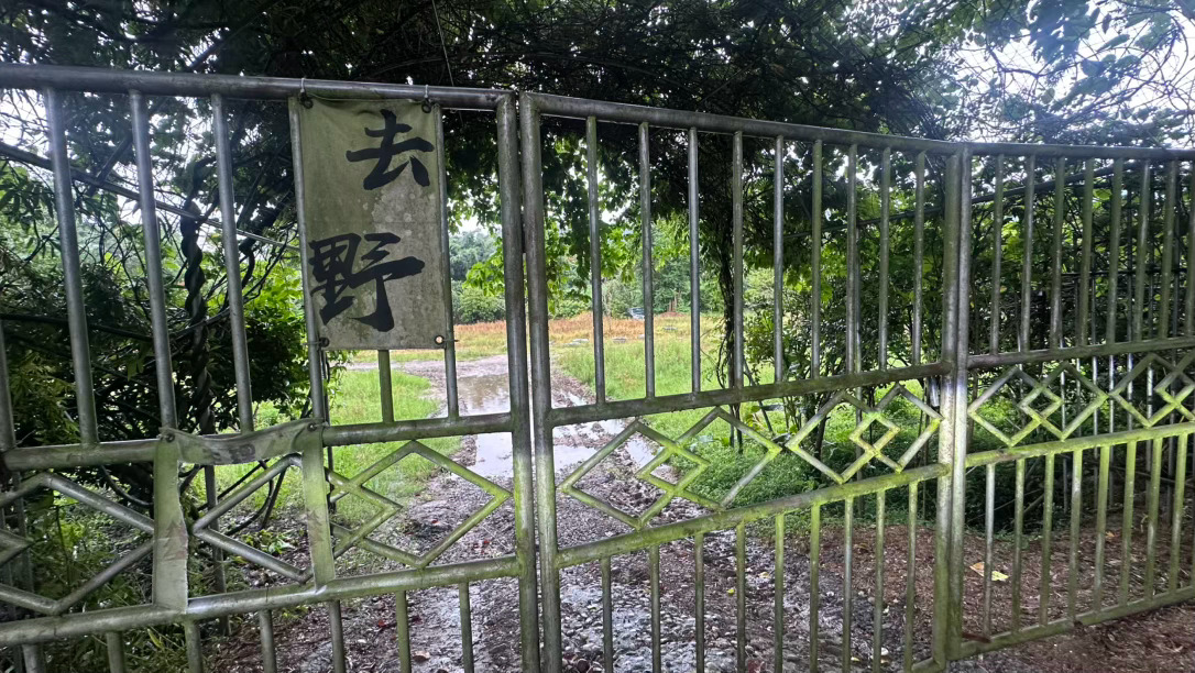 杂草丛中的W140“虎头奔”，又是哪位落魄的大佬遗留下来的，在这里无人问津，有点