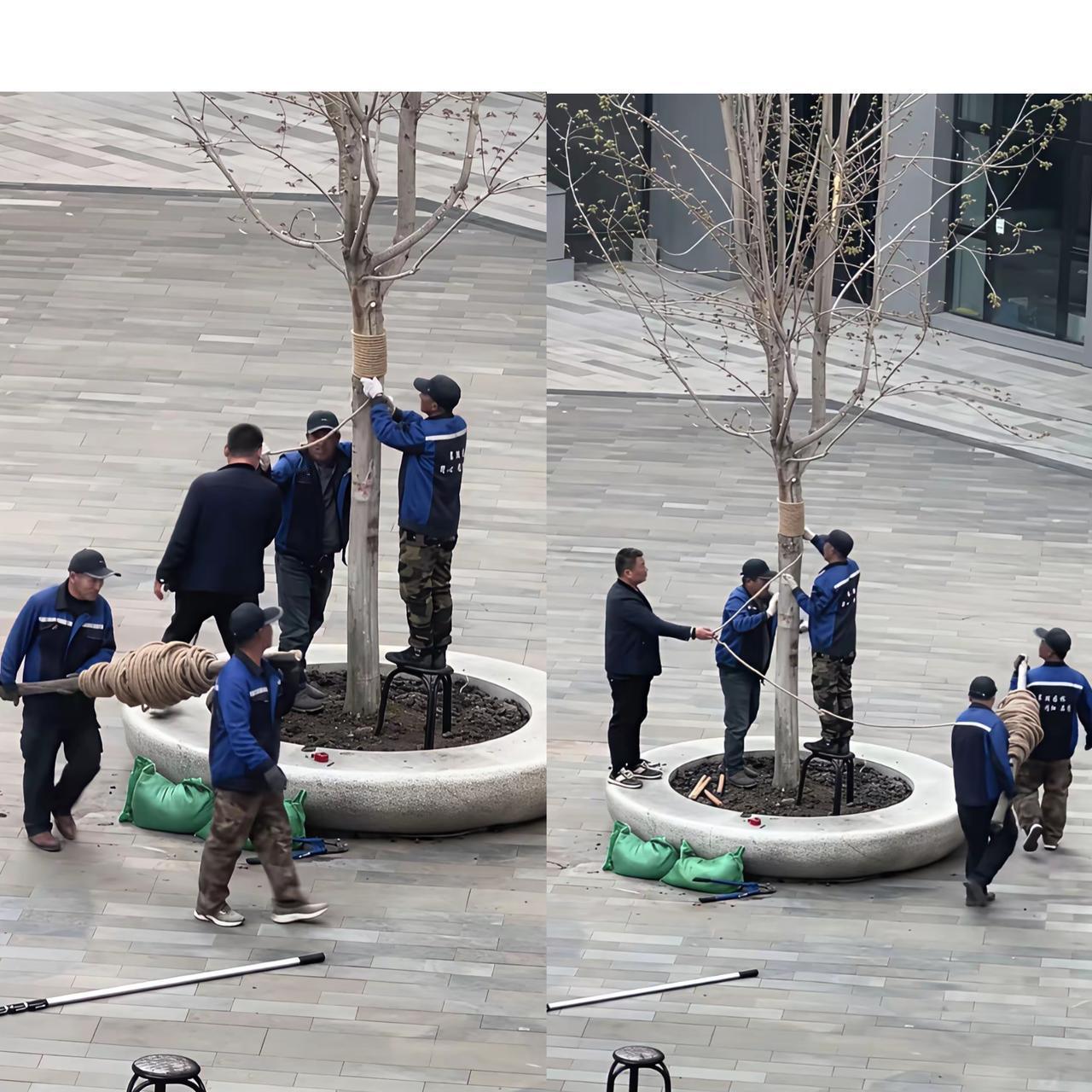 一言以蔽之——扩大就业。
     改革开放之初，深圳的试验田产出了一个金句“时