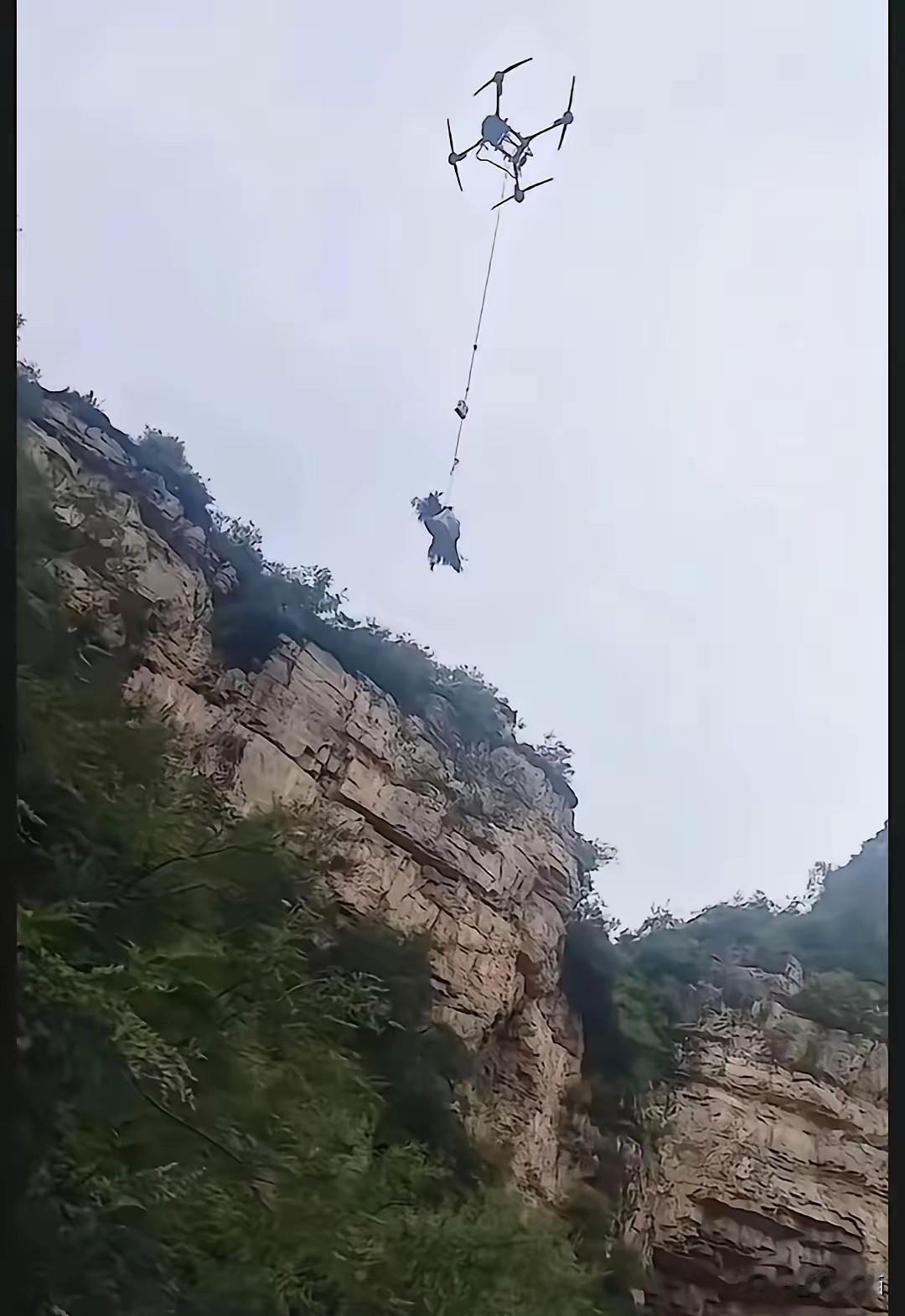 程梦圆找到了，
就在张良垴那面近乎垂直的悬崖底下。
人蜷着，像睡着了一样。二十二
