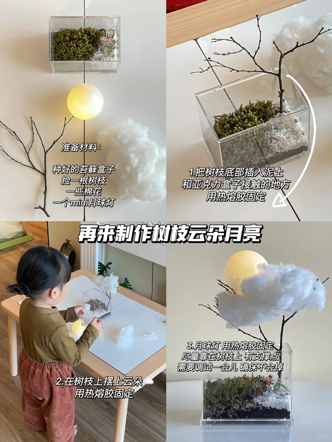 刚做的苔藓微景观，竟然能让孩子兴奋一个月