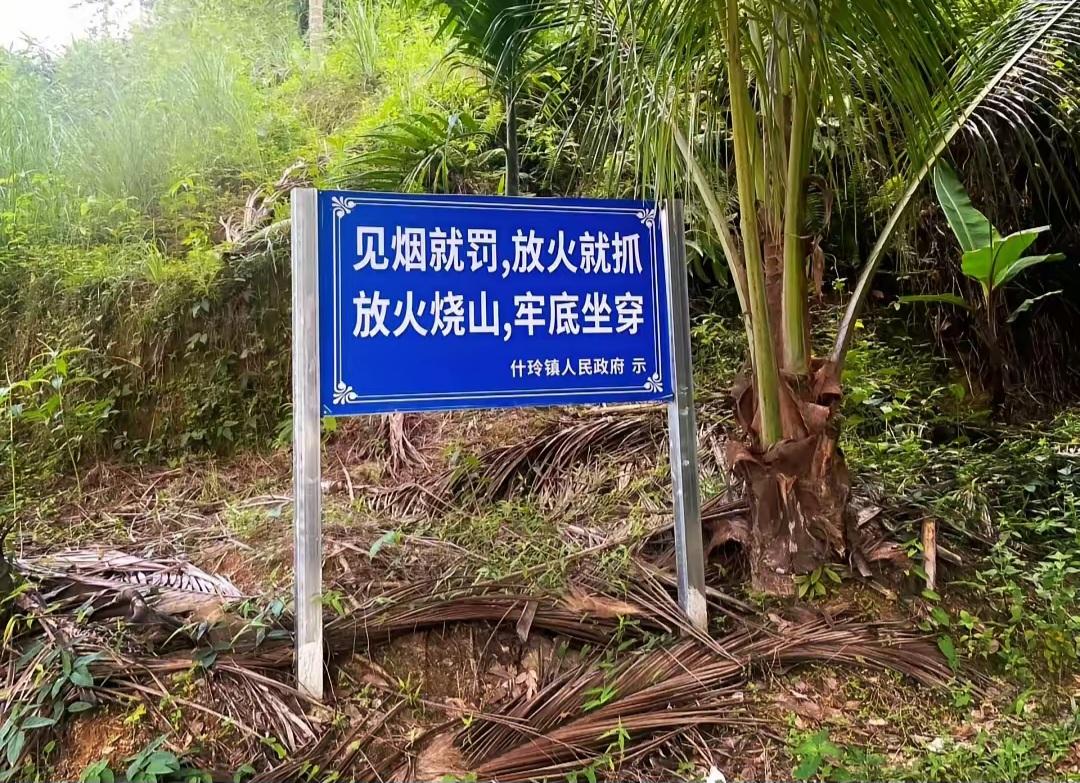 前有秦岭，今有喜马拉雅！
刑事追责！蔡国强始祖鸟🐦天真了道歉已经来不及了。秦岭
