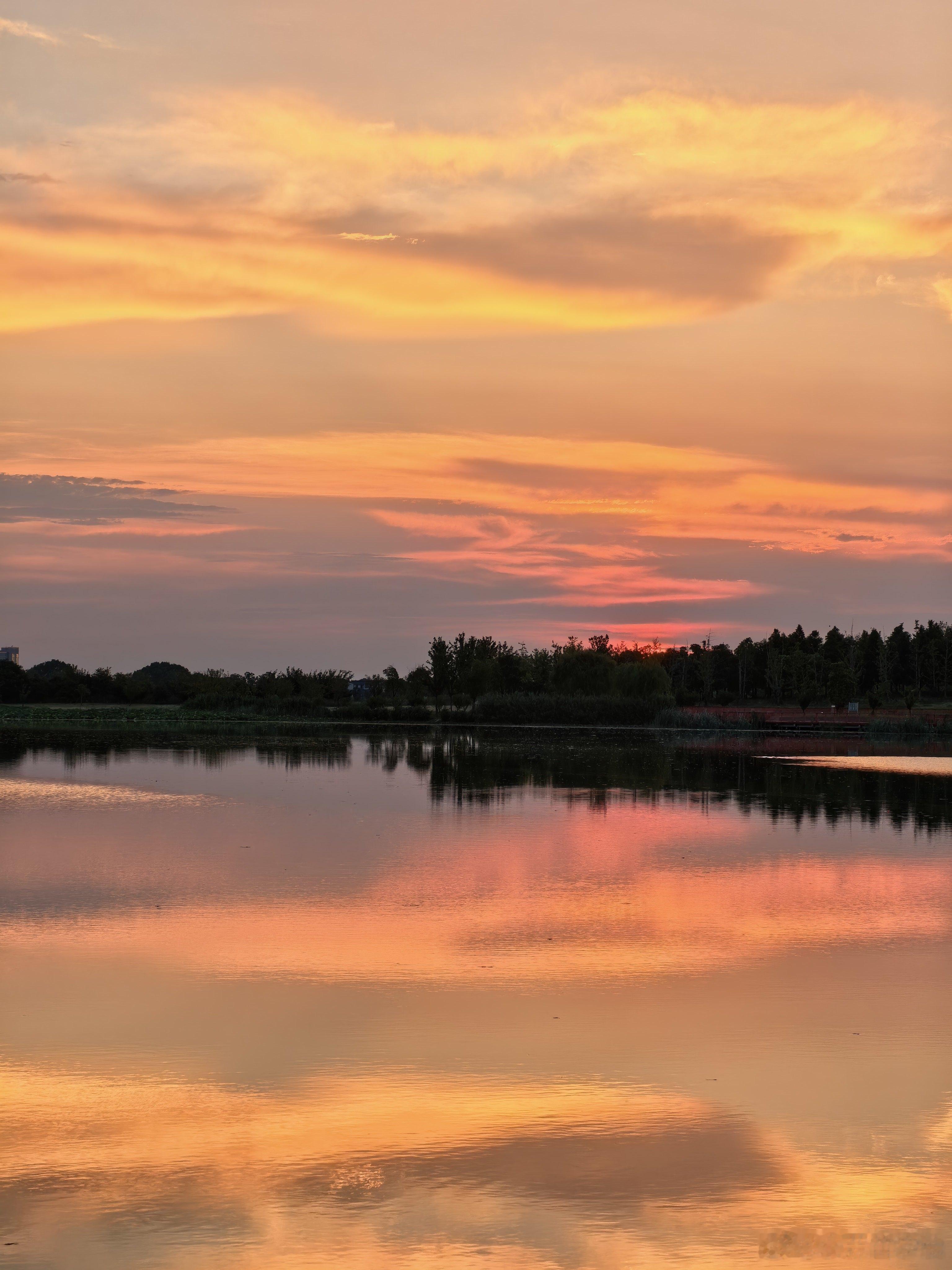 今天的夕阳真美。