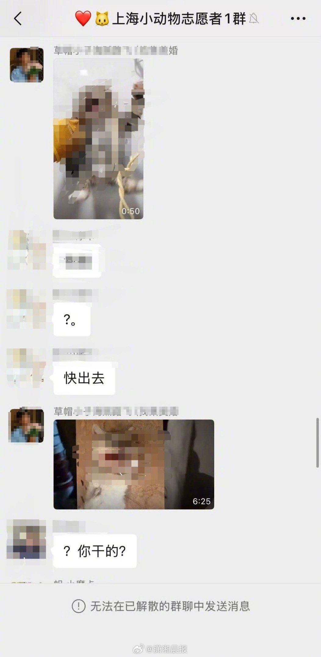 【#女子疑因举报虐猫被造黄谣气进ICU#】#女子回应疑因举报虐猫被造黄谣#动物保