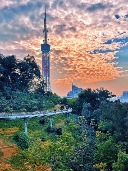 2025从广州云道开始✌️（内含Tips及路线图）