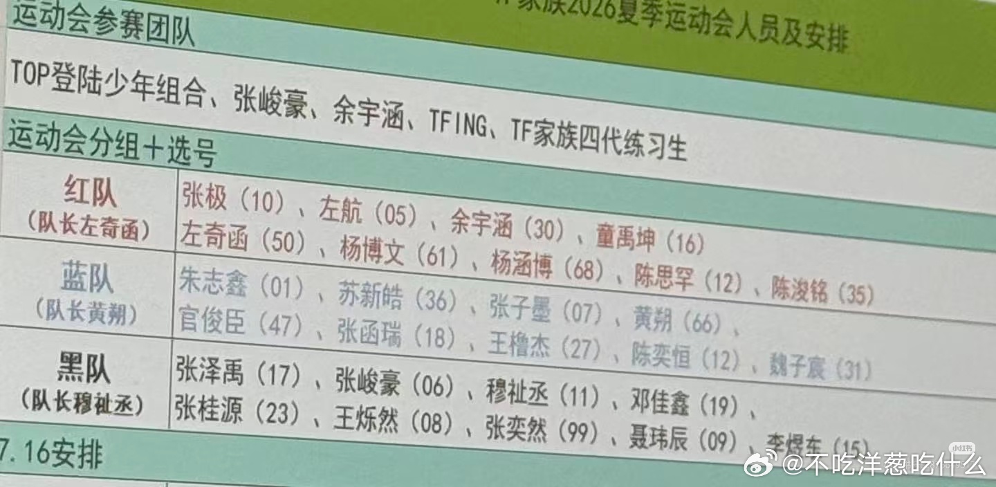 🍉运动会分组 🈚时团版