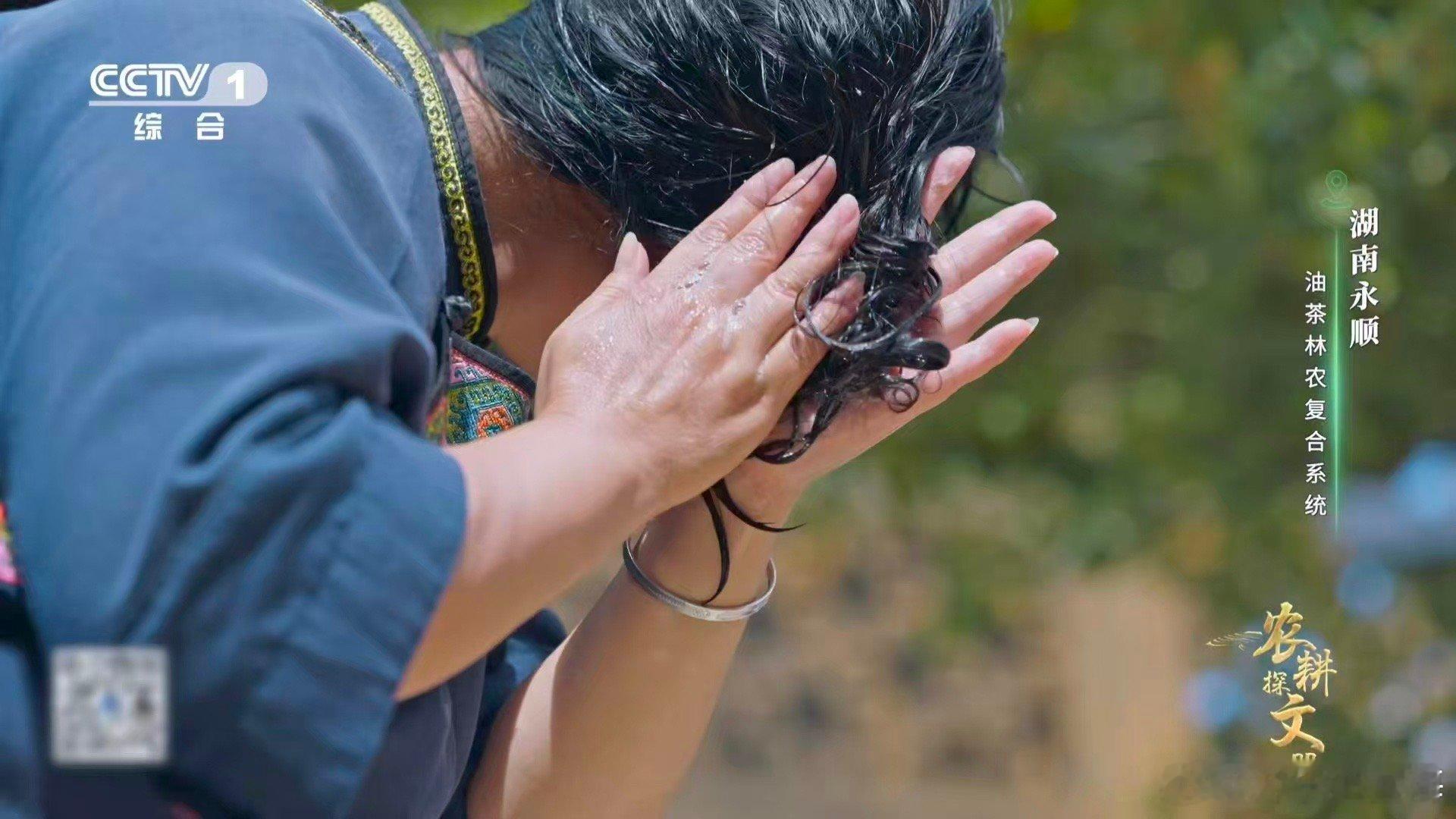 油茶榨干成了洗头神器 从厨房到浴室，湖南油茶贯穿生活之美。茶油赋予菜肴灵魂，而榨