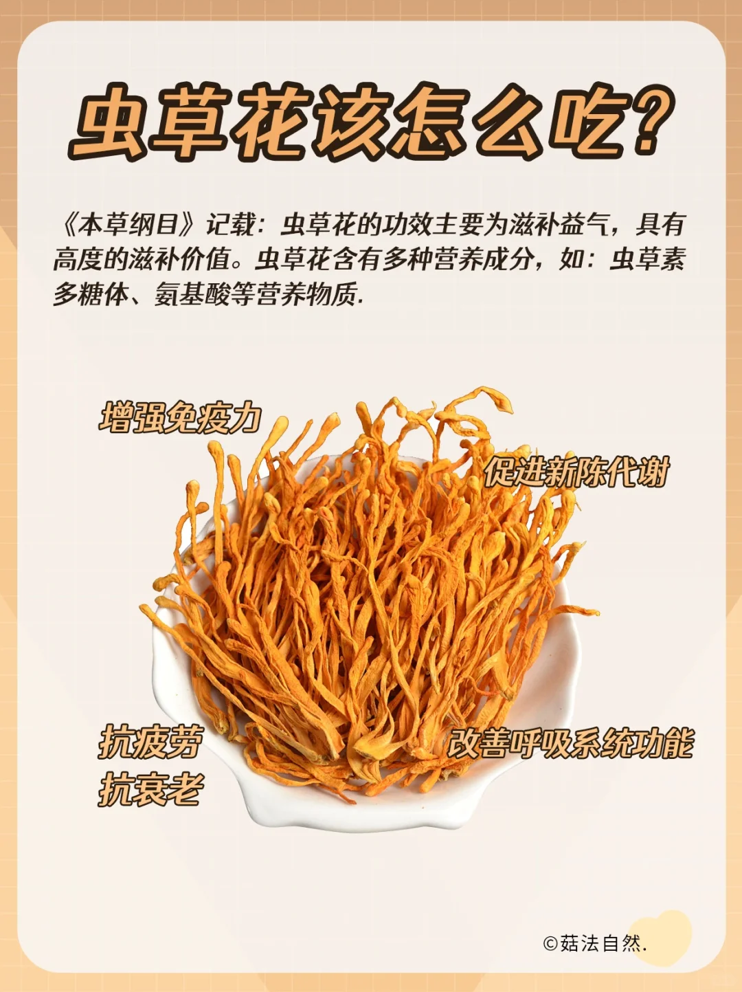 🔥虫草花该怎么吃❓