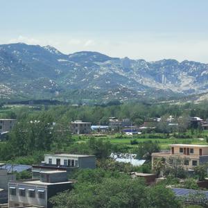 三农与乡村观察员