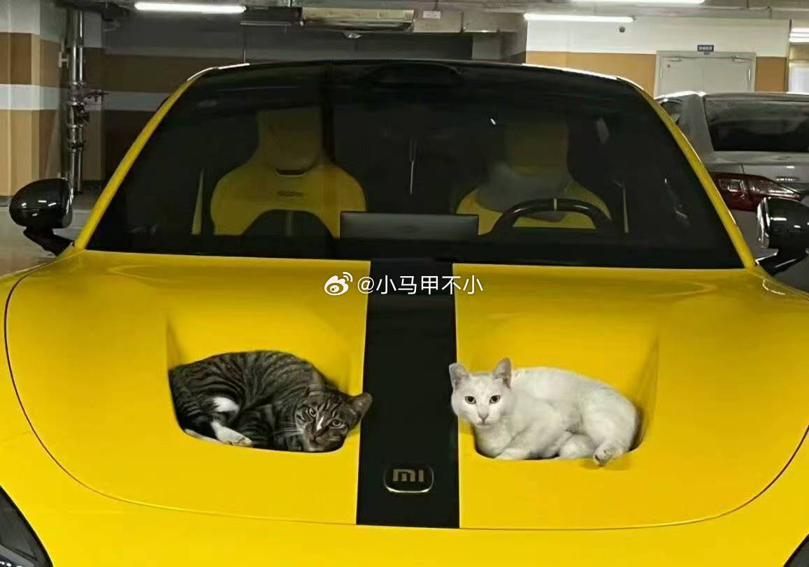 雷总早上好，今天预热什么？？？  [馋嘴][馋嘴][馋嘴]汽场全开 新能源汽车 
