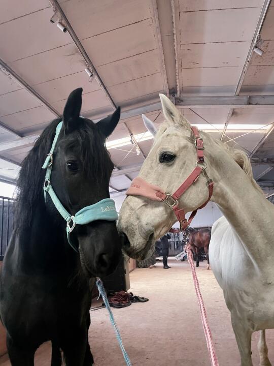 🖤🤍黑白什么的最配了