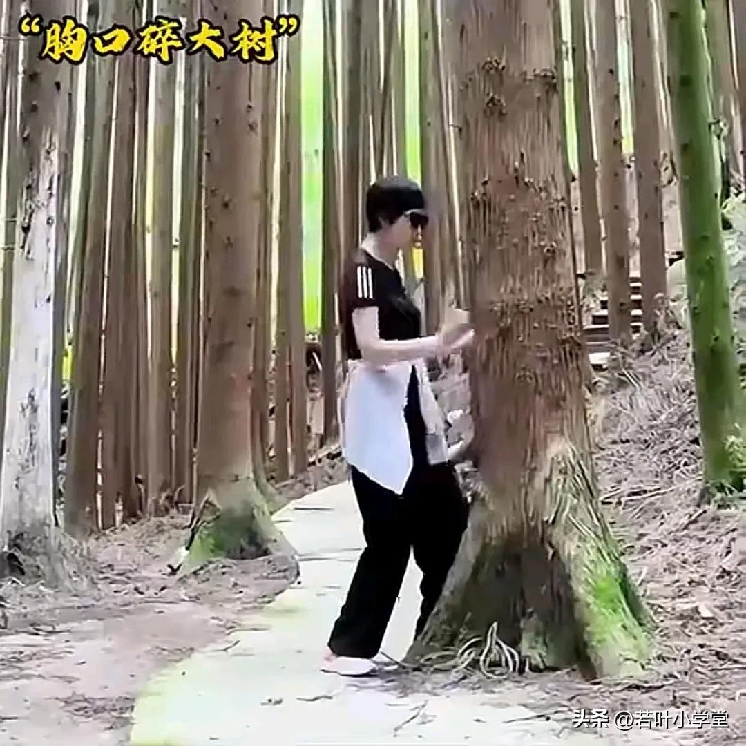 胸口碎大树！看着真恐怖！