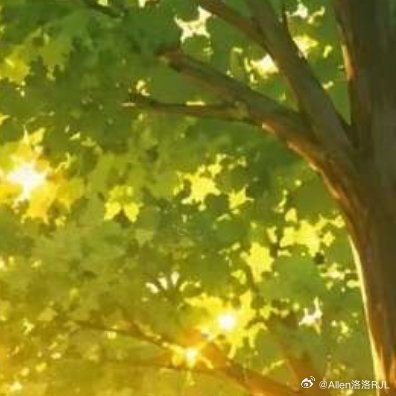 每日一善 晨光熹微唤醒沉睡的梦想眼里有星光生活有期待向上生长，向下扎根努力过好自