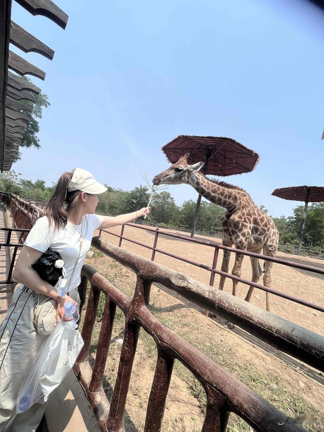 秋天的风，秋天的云，秋天的你，一切都那么恰到好处。