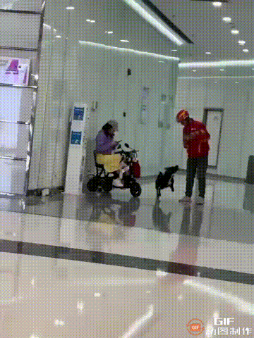 上海一处商场内，一名女子带着小狗进入，却没有给小狗拴绳，而小狗见到陌生人就一直追
