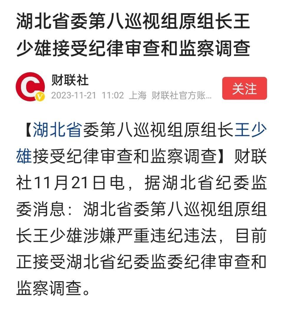 又一位巡视组原组长被查 ​​​
