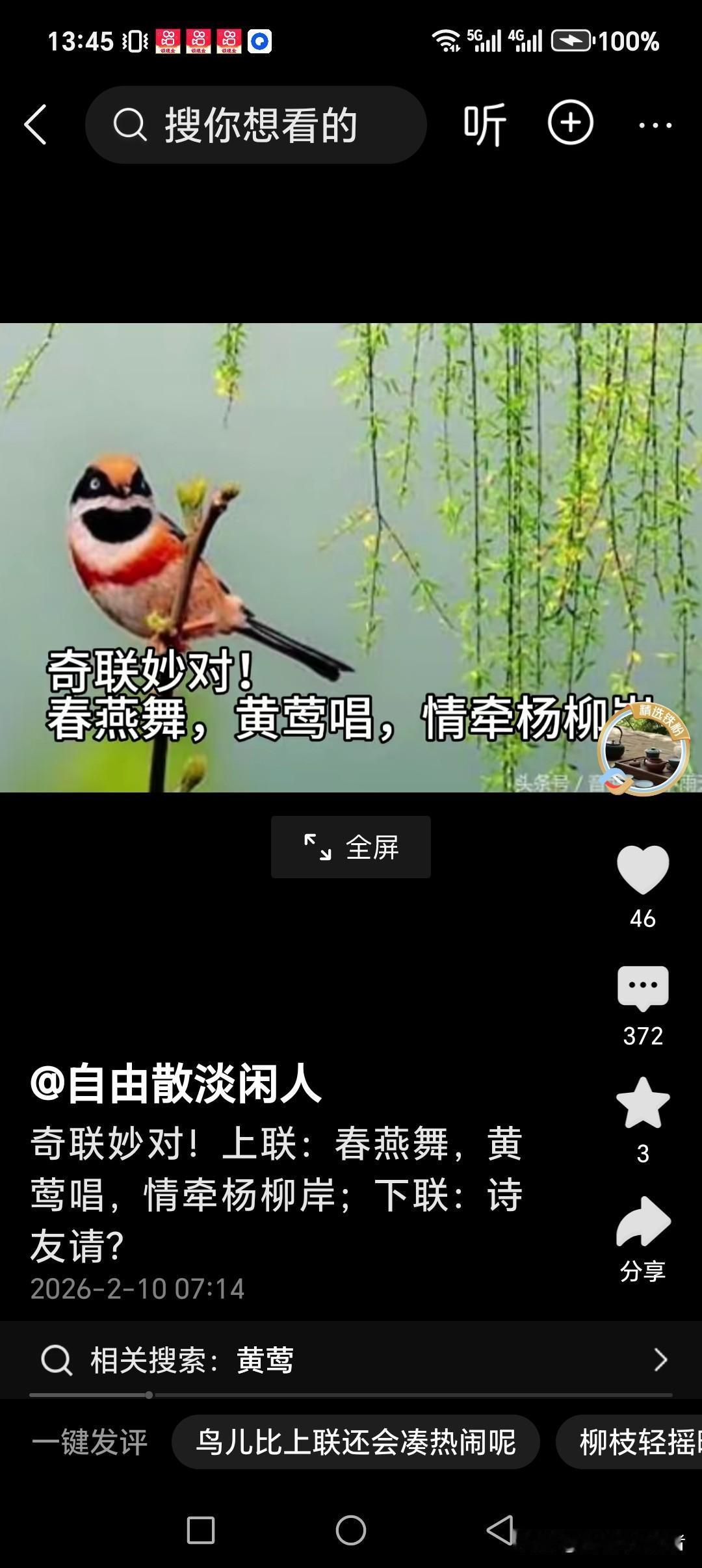 春燕舞，黄莺歌，情牵杨柳岸
钢管舞，红灯歌，缘系共海峡