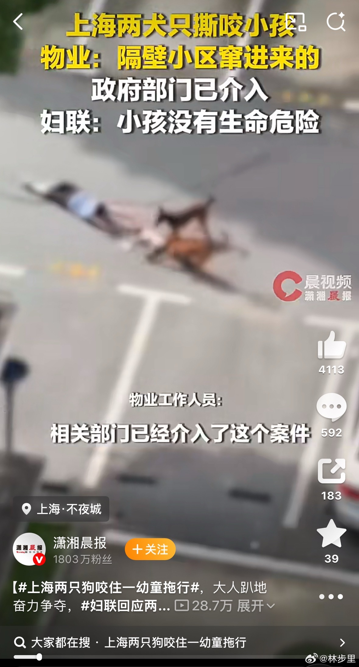 上海两只狗咬住一幼童拖行爱狗明星出来走两步。别只在爱狗的时候才会轰轰烈烈的发声。