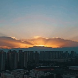 霜叶热看社会