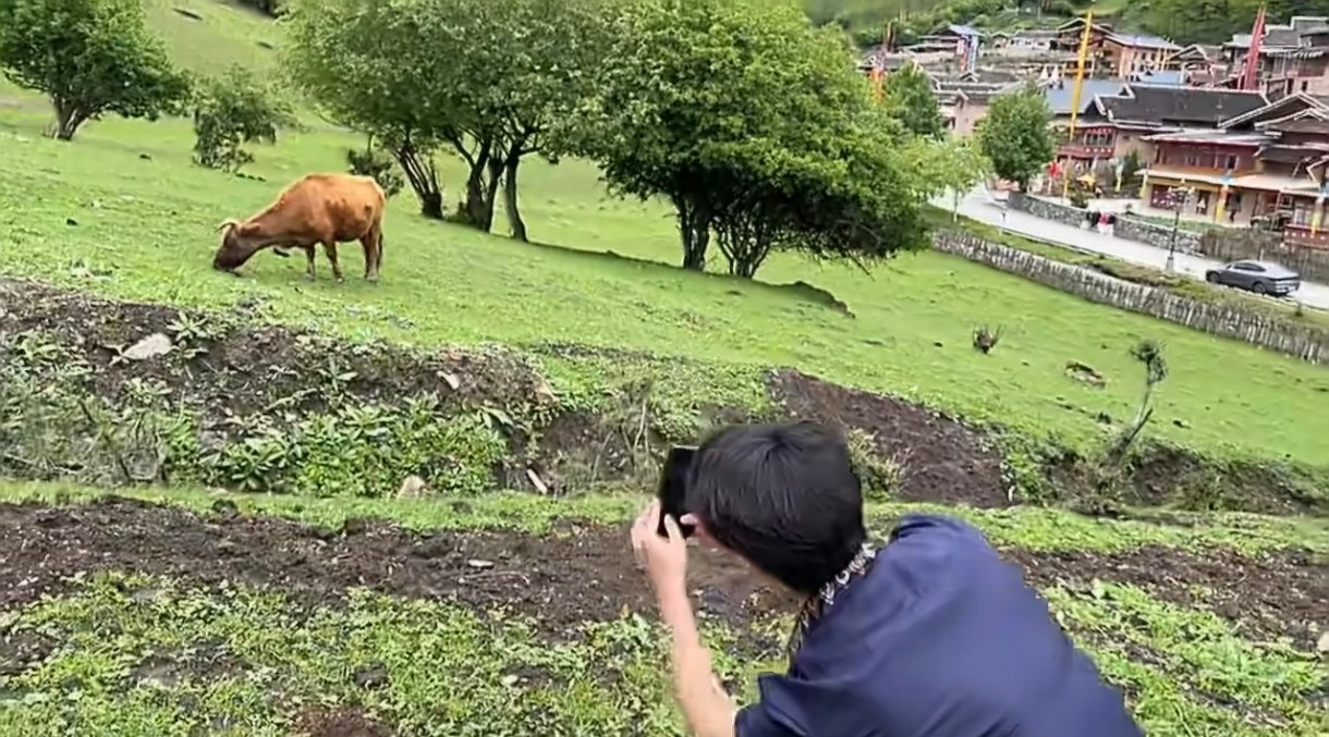 夏之光认真给牛出片的男人夏之光给牛出片牛给了报酬户外游玩欢乐多多，夏之光化身摄影