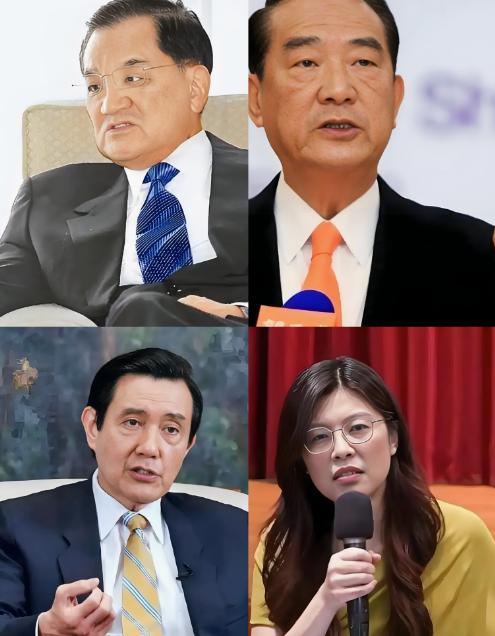 台湾评论员郭正亮说的非常明确，大陆不要让连战、马英九、宋楚瑜、郑丽文等人忽忧了。