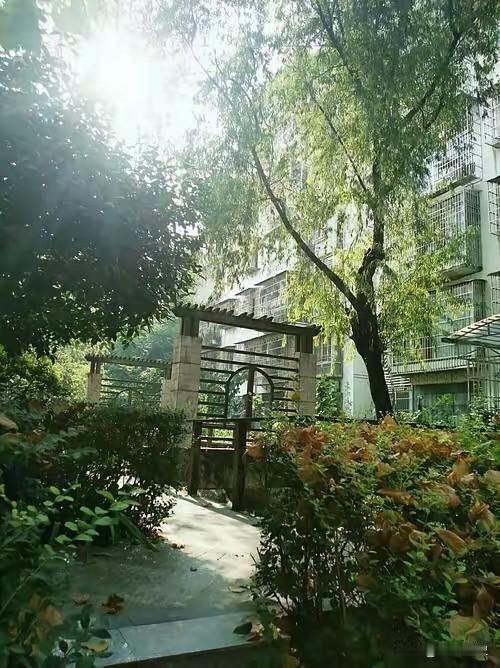 因为一时冲动，我和老公离了婚，在娘家住了2个月以后，却从前夫那边传来了一个令我万
