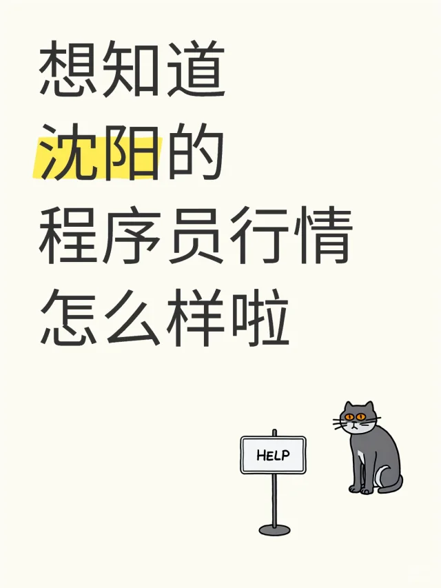 沈阳程序员
