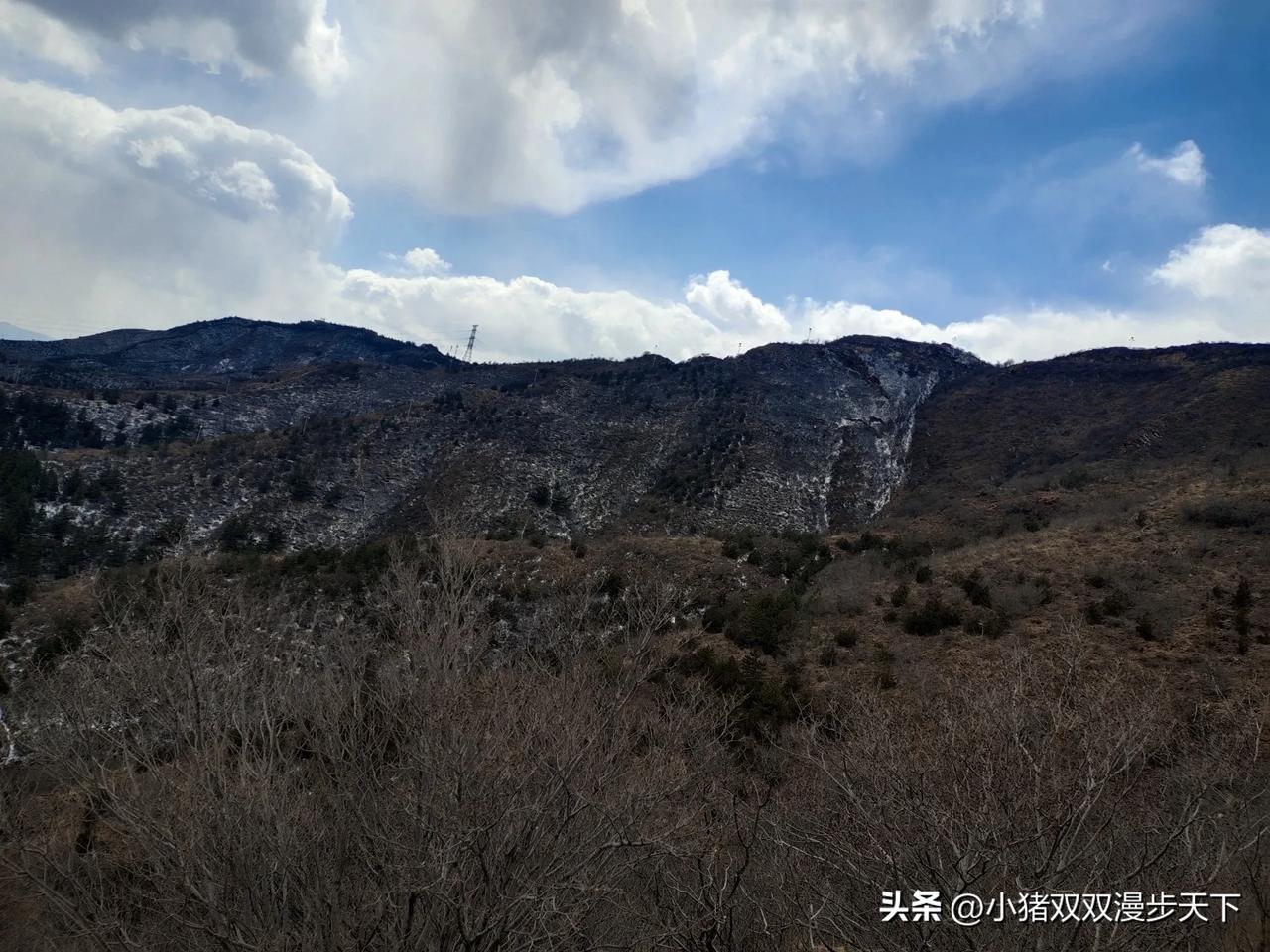 否认拿40亿普通人就不说了，咱也没资格说。人家能拿钱跑路那是本事。
可被害人就惨