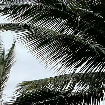 每日一善‎每日一善 阳光信用 你今天的努力，是幸运的伏笔，当下的付出，是明日的花