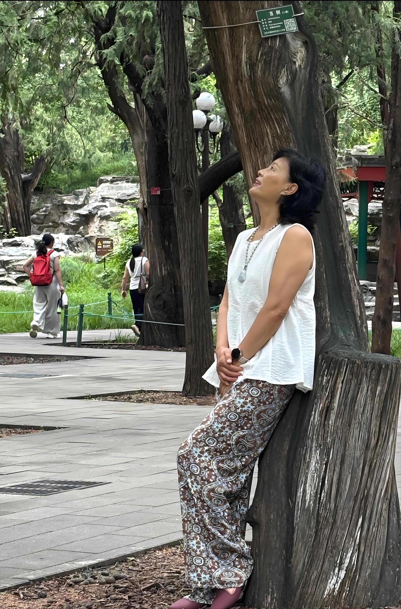 古柏闲吟

古柏虬枝忆旧年，
亭台幽处享安闲。
偷来浮生半日静，
尽揽京华岁月绵