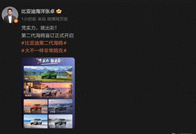 不再是小巧代步车，尺寸逼近海豚，海鸥二代还能8万起吗？