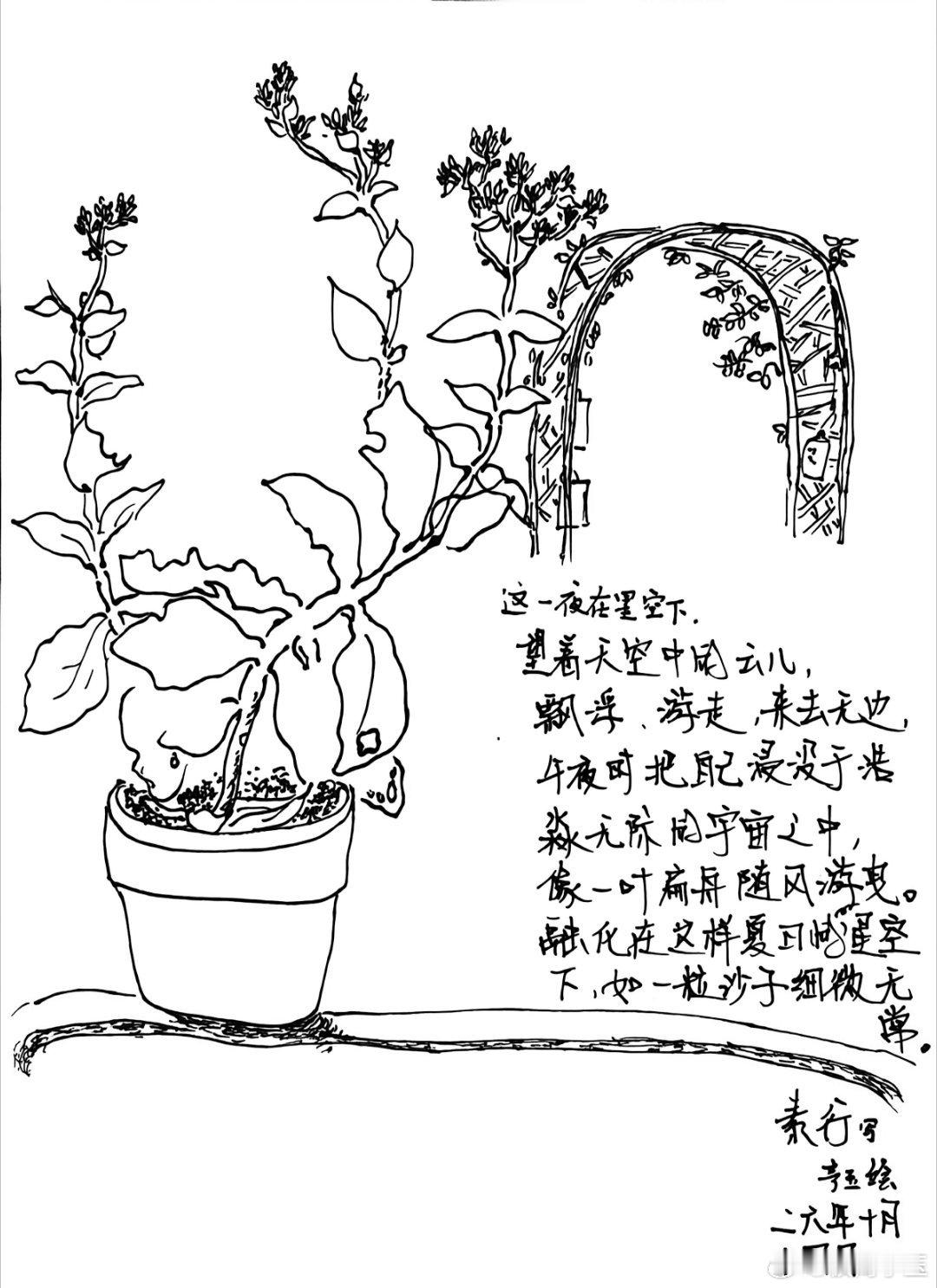 星空下/素行这一夜在星空下望着干空中的云儿飘浮、游走来去无边午夜时浸没于浩淼无际