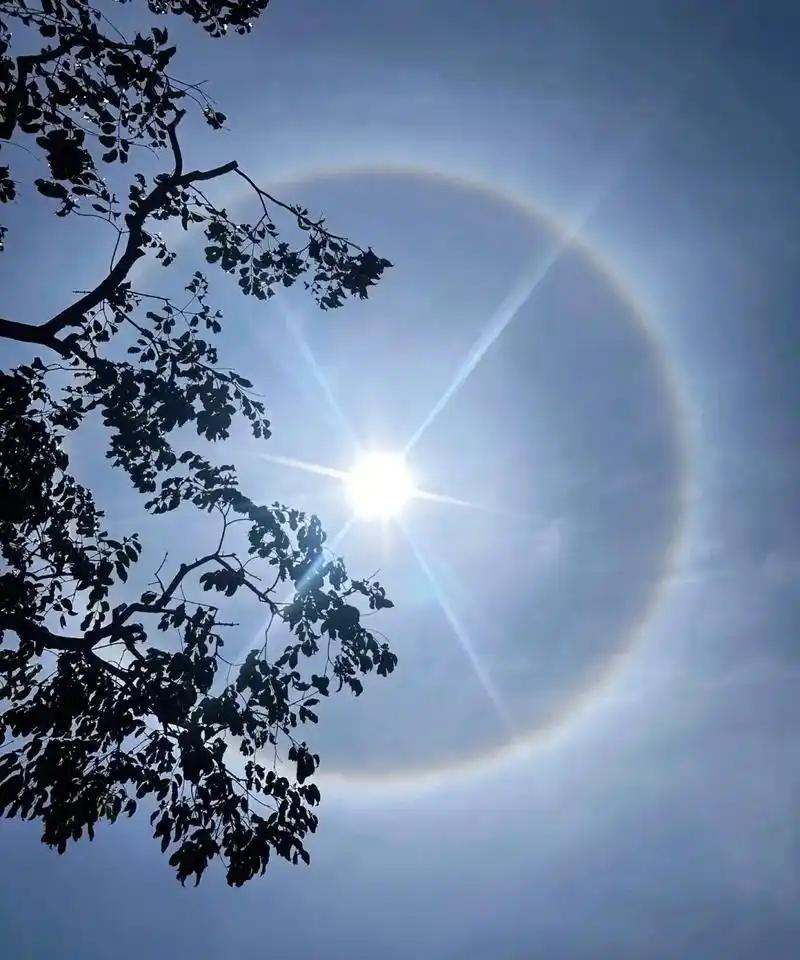 这大热天的，天津疾控专家都出来喊话了，大家千万别把中暑当儿戏！我想这几天出门，大