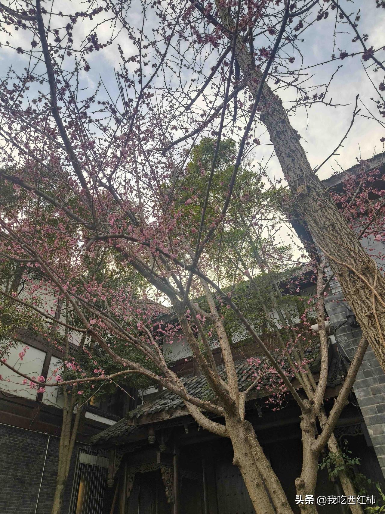 给爸妈干了近7个小时家务    心态崩了
爸妈自入冬就去南方过冬了，下周回来。