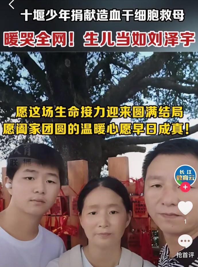 妈妈，这次换我救你！大家习惯了现实的冰冷，很难想象一个高中男孩，能顶住病魔和贫困