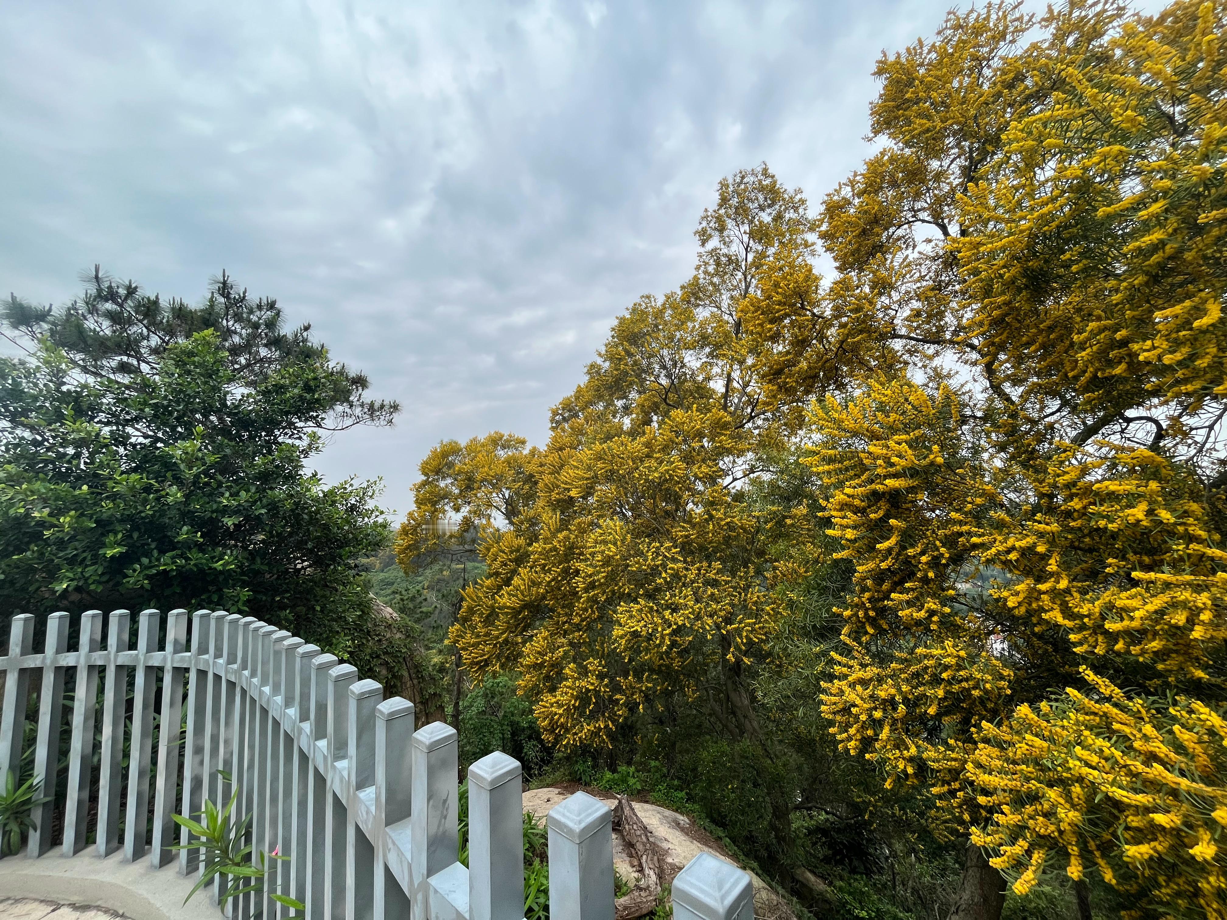 超开心的，一大早出来体会自然~ ​​​