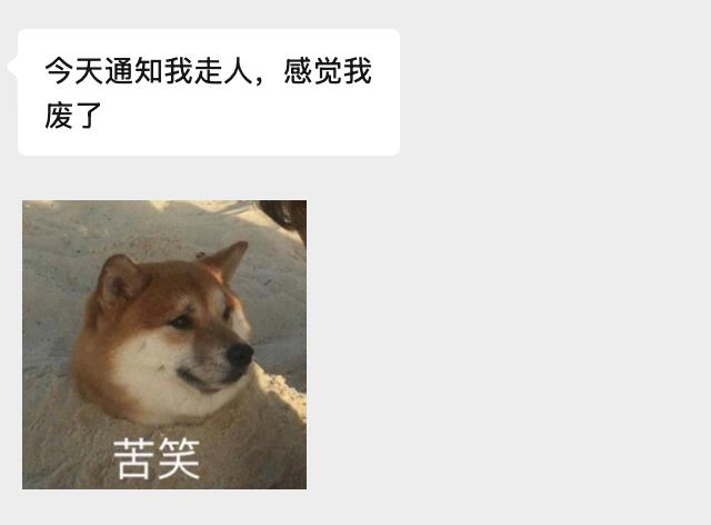 刚一个程序员群友被裁了，问有啥出路建议。

其实程序员转行真没那么玄乎，身边就有