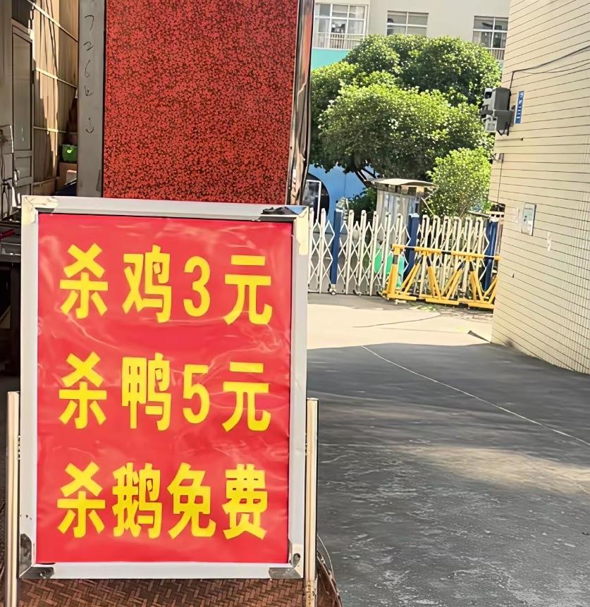 这个店的老板是怎么做生意的杀鹅竟然免费。昨天去市场买鸡，在一家专门宰杀的门店前看