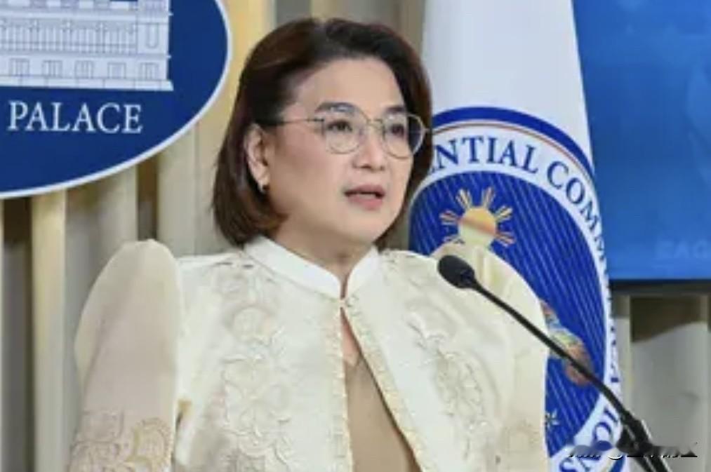 周六，菲律宾总统府表示，只有经监察专员办公室认证和保管的文件，才能为防洪项目调查