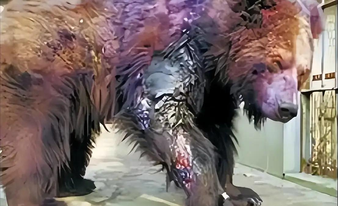 2002年，年仅22岁的清华学生刘海洋，在北京动物园先后用浓硫酸泼伤五只熊。如今