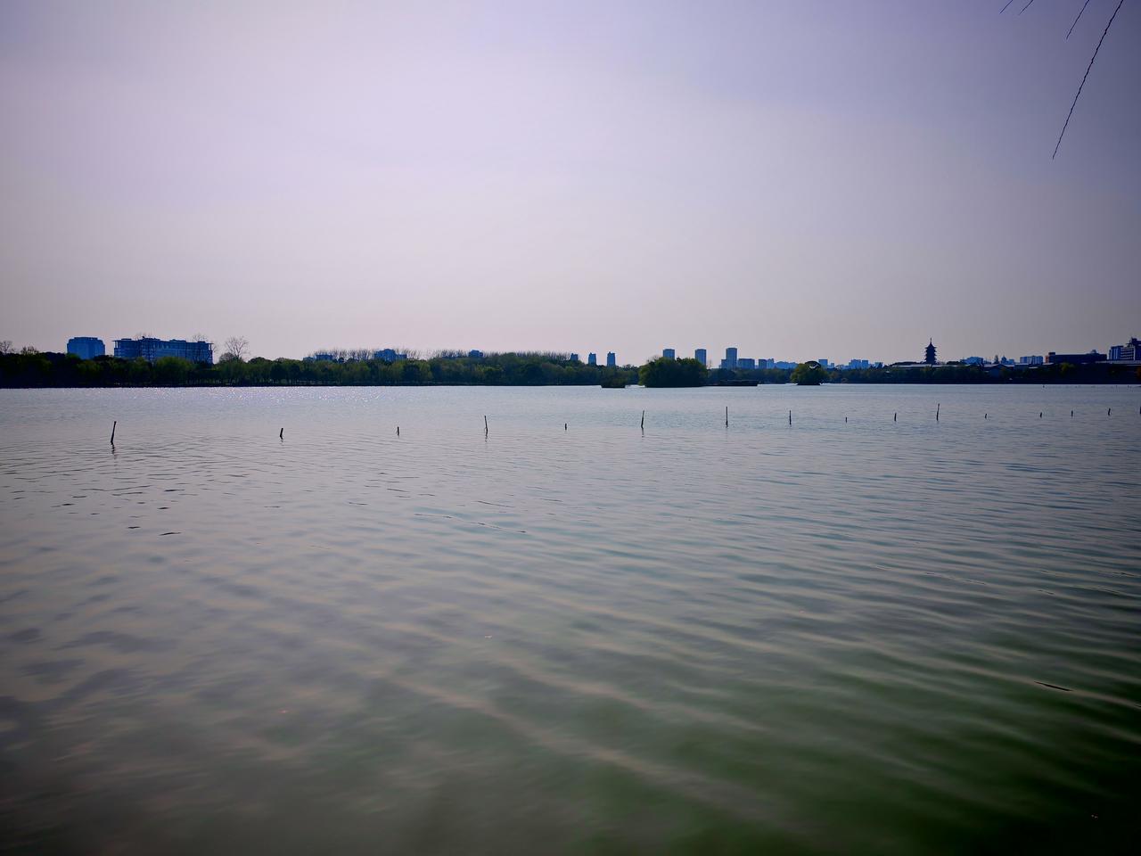 天南地北大拜年