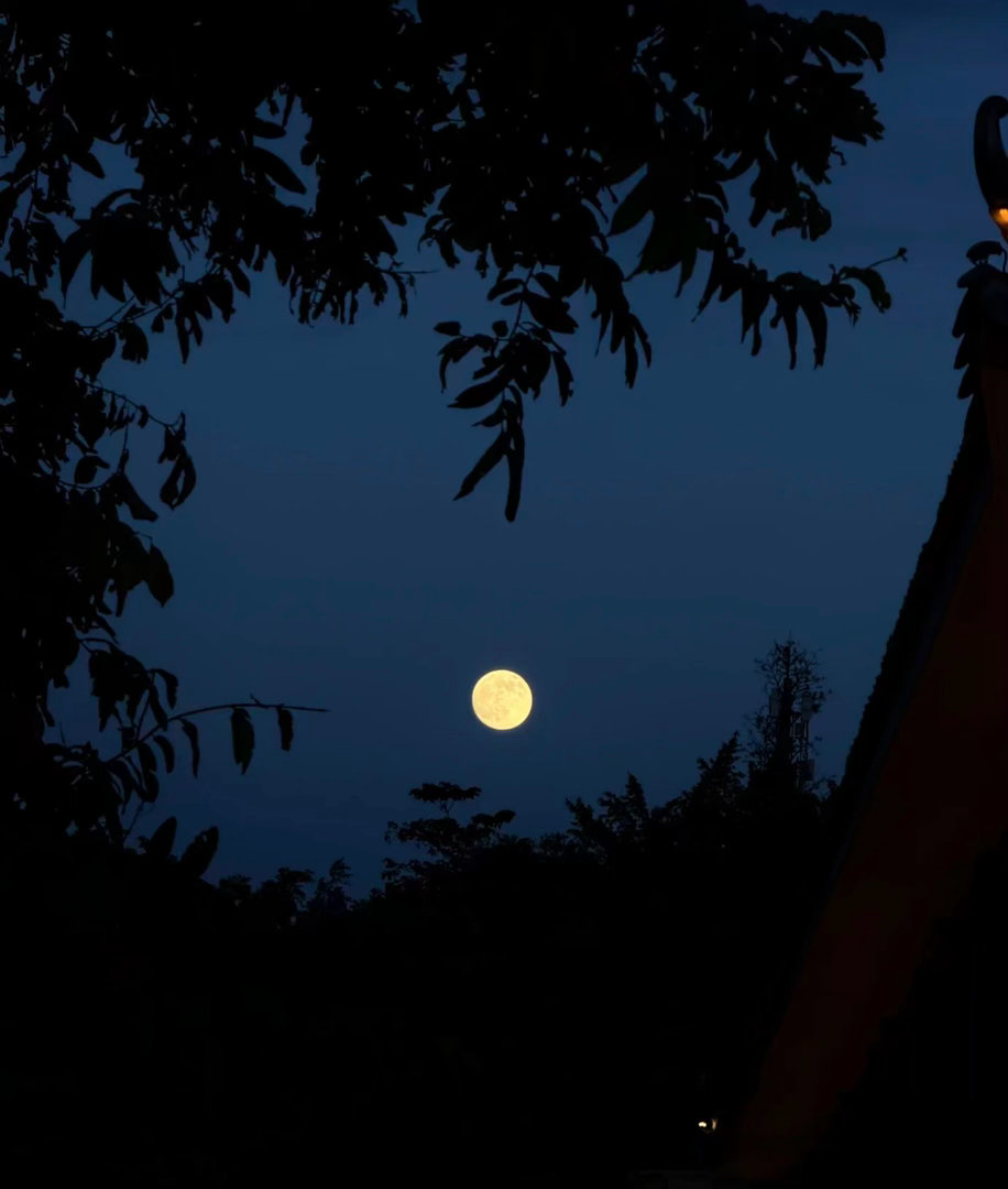 愿十五的月亮 把生活照得闪闪发光.🌙 ​​​