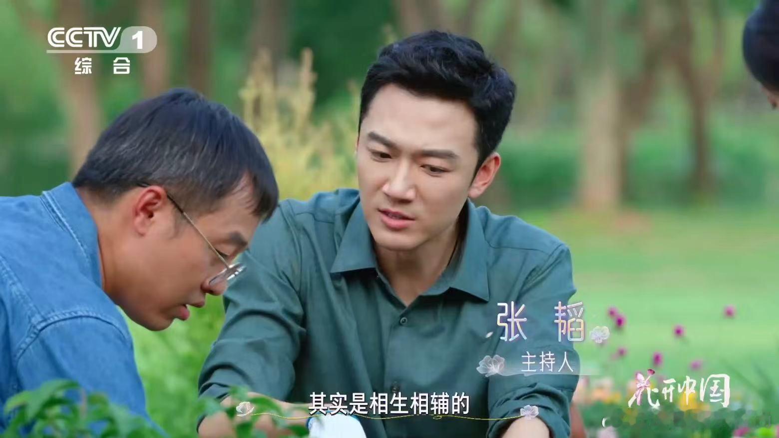 救命！我们脚下的土居然是“石头变形记”， 先驱植物用亿万年时间，把岩石风化成能滋