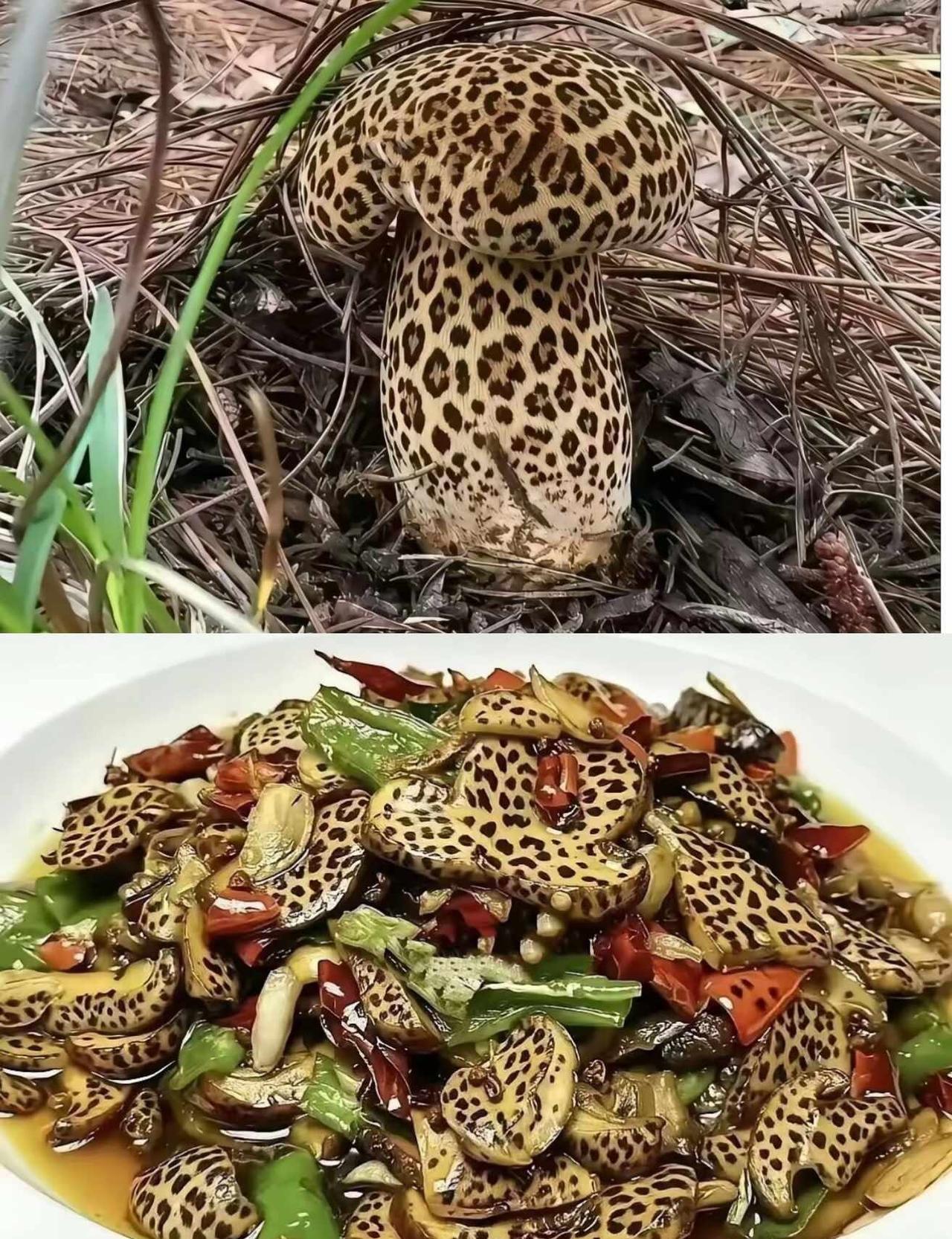 见过吗？有没有这样的
趣图梗图搬运工我若拿出这个 万物皆有可能 绝对想不到 只有