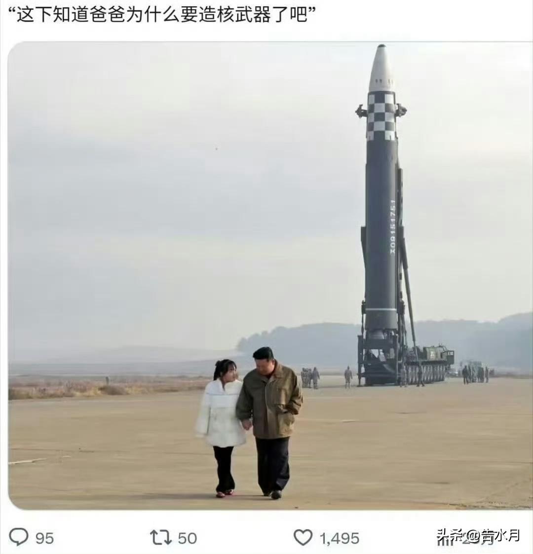 不说别的，要是伊朗真有主体的坚定，说不定真能搓出来保家卫国的东西呢！

但是这事